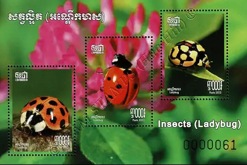 Insects: Ladybugs (378A) (MNH)