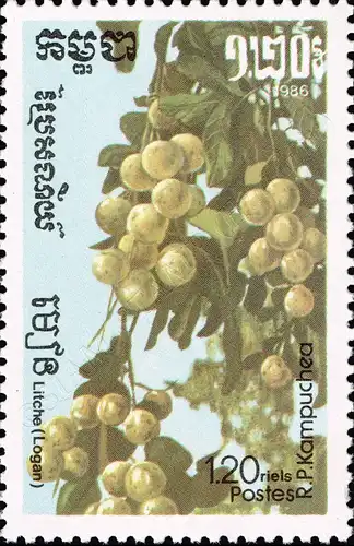 Fruits (III) (MNH)