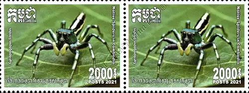 Native Spiders -PAIR- (MNH)