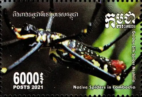 Native Spiders (365A) (MNH)