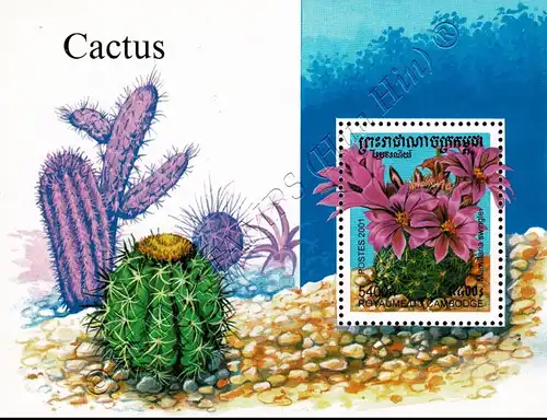 Cacti (289A) (MNH)