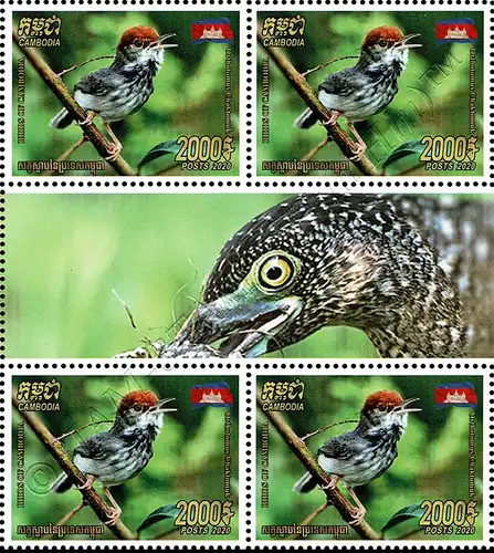 Native Birds (X) -BLOCK OF 4- (MNH)