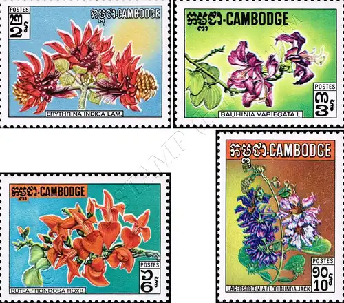 Flora (II) (MNH)