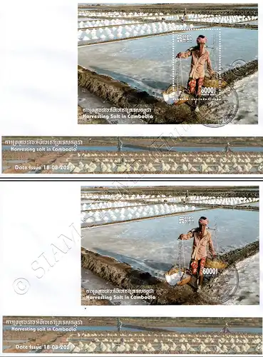 Harvesting Salt in Cambodia (362A-362B) -FDC(I)-I-