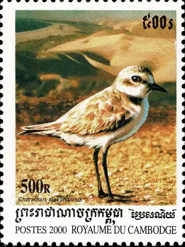 Sea Birds (MNH)