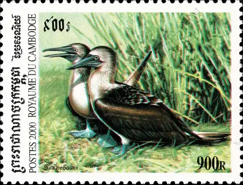 Sea Birds (MNH)