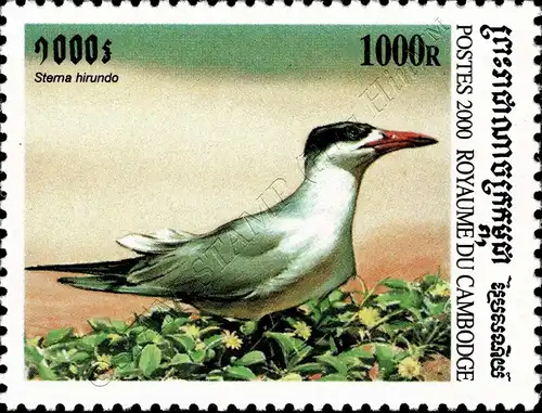 Sea Birds (MNH)