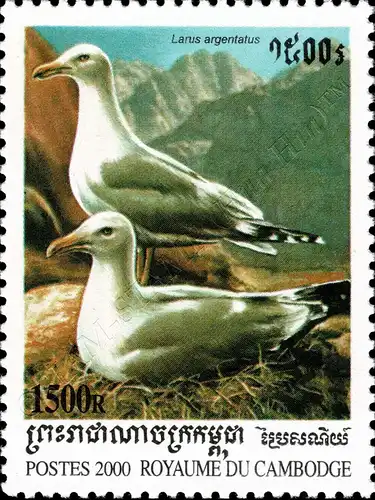 Sea Birds (MNH)