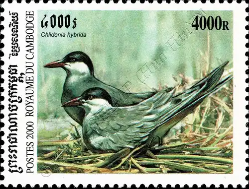 Sea Birds (MNH)