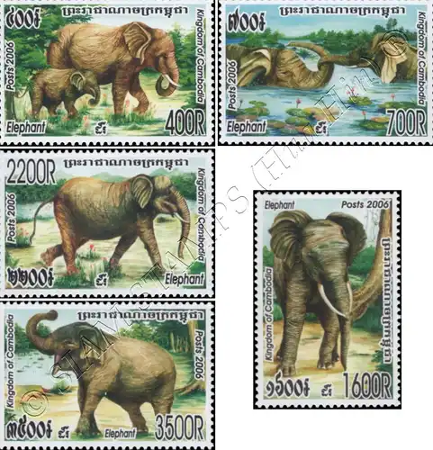 Asian Elephant (MNH)