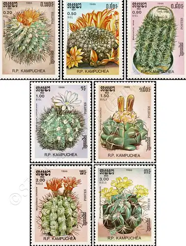 Cacti (I) (MNH)