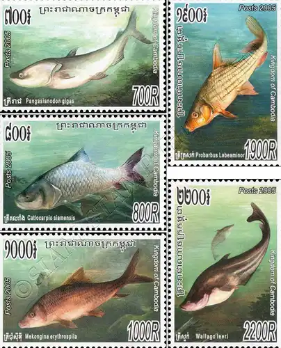 Fishes (V) (MNH)