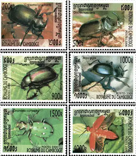 Beetle (III) (MNH)