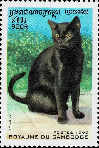 Cat Breeds (III) (MNH)