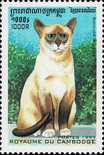 Cat Breeds (III) (MNH)