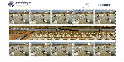 Harvesting Salt in Cambodia -KB(I)- (MNH)