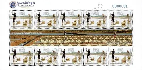 Harvesting Salt in Cambodia -KB(I)- (MNH)