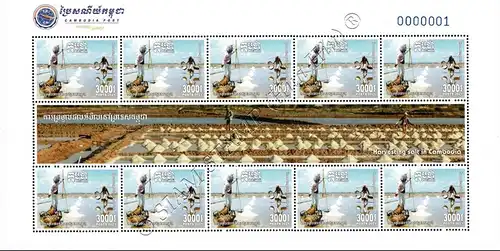 Harvesting Salt in Cambodia -KB(I)- (MNH)