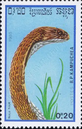 Reptiles (III) (MNH)