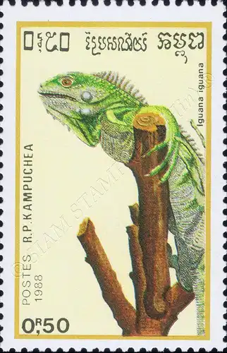 Reptiles (III) (MNH)