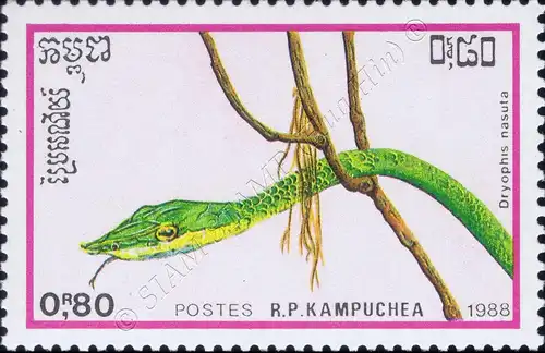 Reptiles (III) (MNH)