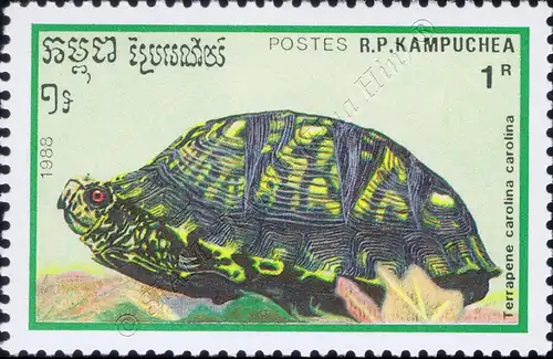 Reptiles (III) (MNH)