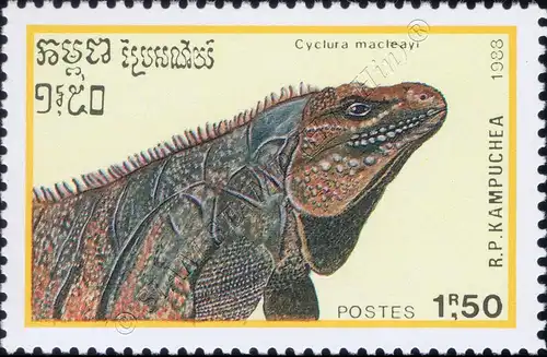 Reptiles (III) (MNH)