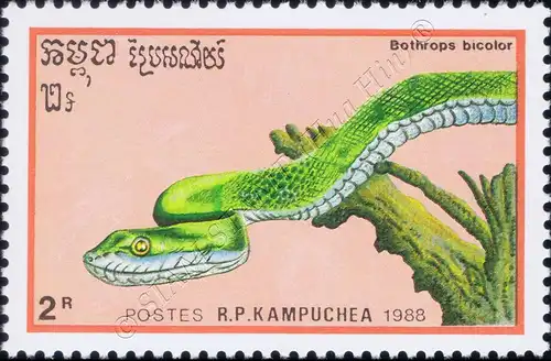 Reptiles (III) (MNH)