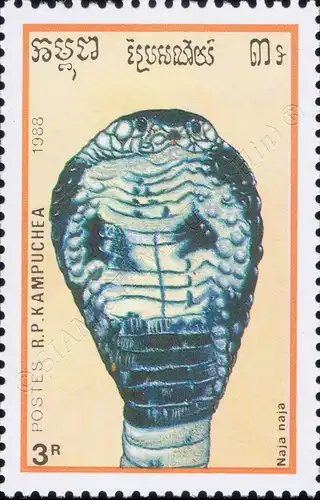 Reptiles (III) (MNH)