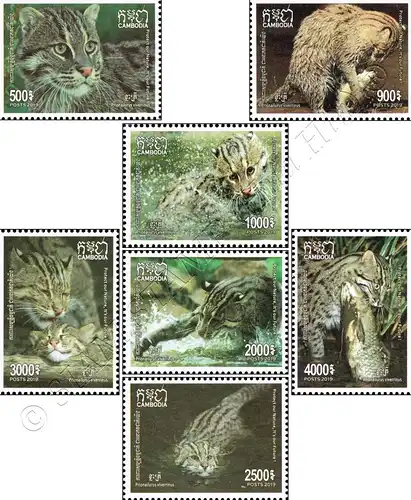 Fishing Cat (MNH)