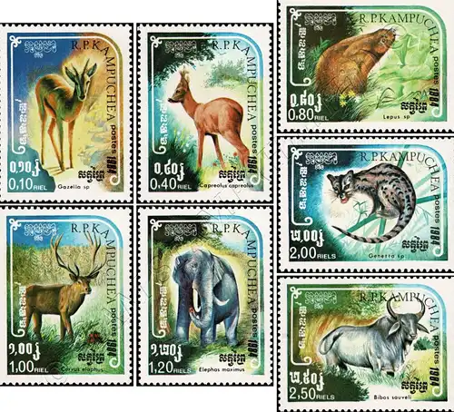 Wildlife (MNH)