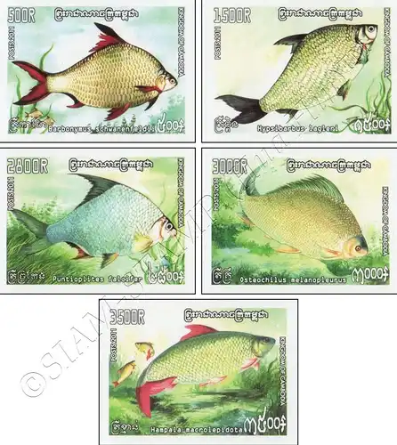 Freshwater fish -IMPERFORATED- (MNH)