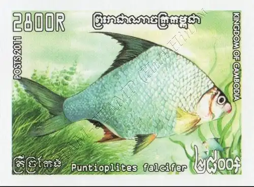 Freshwater fish -IMPERFORATED- (MNH)