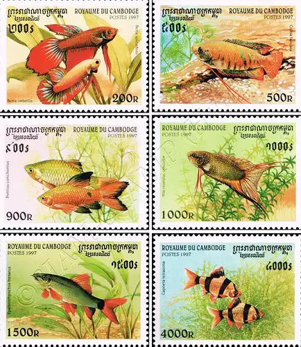 Aquarium Fish (MNH)