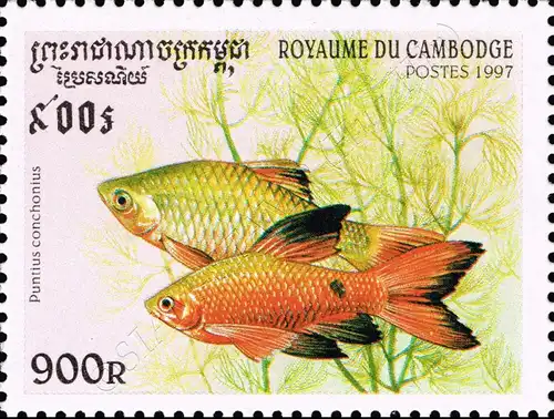 Aquarium Fish (MNH)
