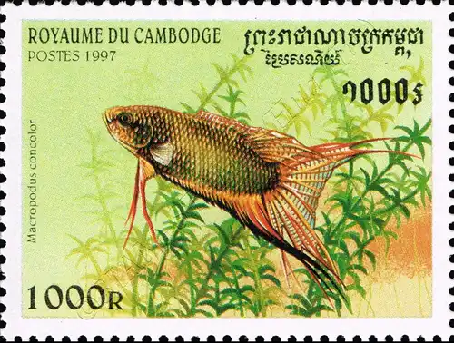 Aquarium Fish (MNH)