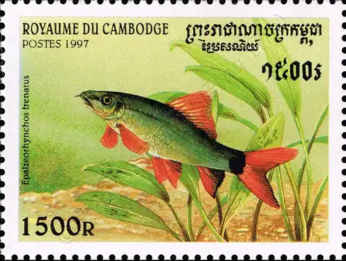 Aquarium Fish (MNH)