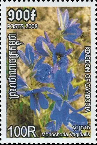 Fauna of the Wetlands (MNH)