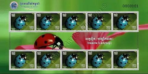 Insects: Ladybugs -KB(I)- (MNH)