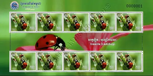 Insects: Ladybugs -KB(I)- (MNH)