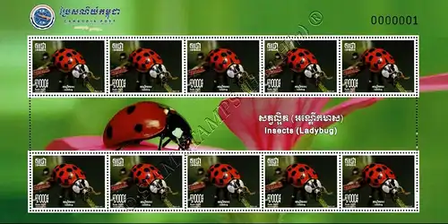 Insects: Ladybugs -KB(I)- (MNH)