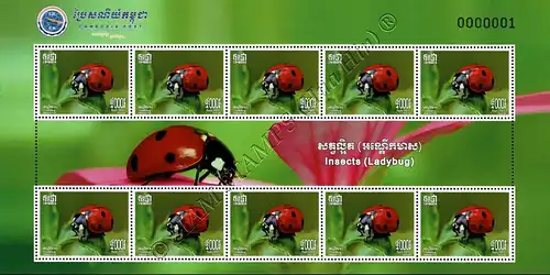 Insects: Ladybugs -KB(I)- (MNH)