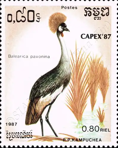 CAPEX 1987, Toronto: Birds (MNH)