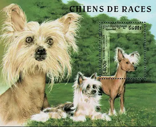 Dog Breeds (230A) (MNH)