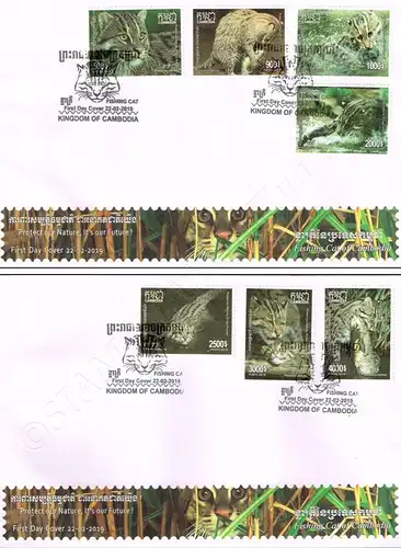 Fishing Cat -FDC(I)-I-