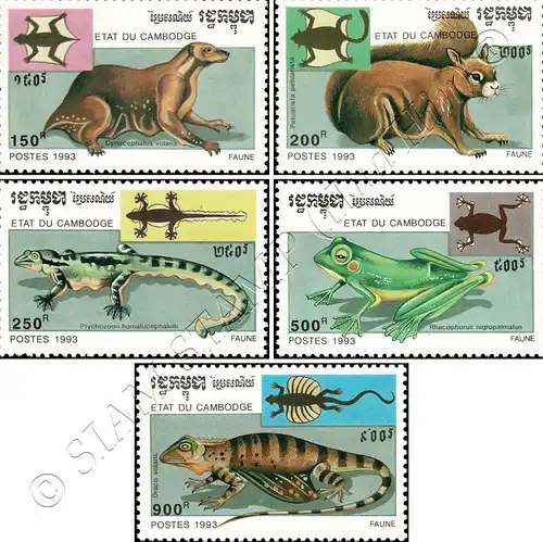 Flying Animals (MNH)