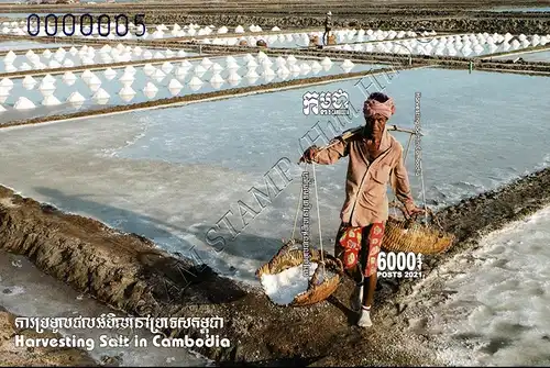 Harvesting Salt in Cambodia (362B) (MNH)