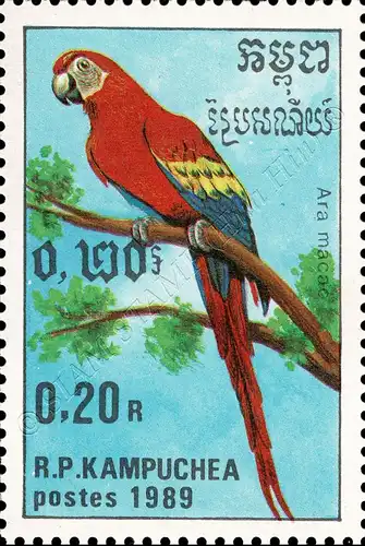 Parrots (MNH)