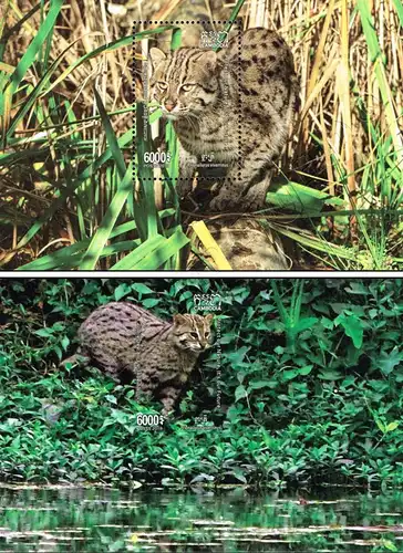 Fishing Cat (342A-343B) -SPECIAL SOUVENIR SHEET SET- (MNH)