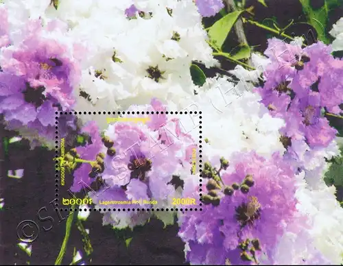 Flowering shrubs and trees (296A) (MNH)